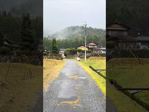 Japan’s most beautiful Countryside #reels #shortvideo #shorts #japan