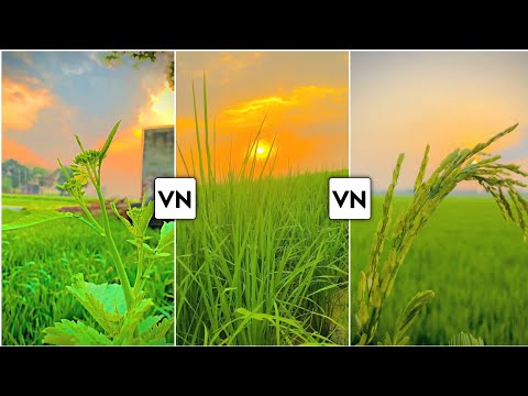 vn iphone filter video editing