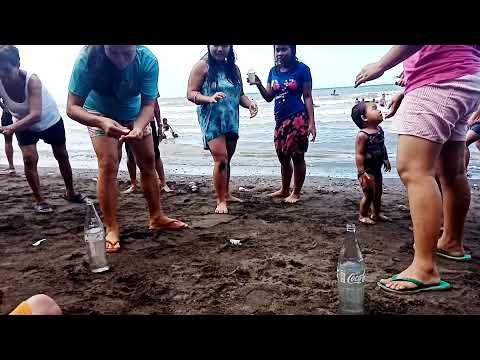 beach game (punuin ang isang litro gamit ang plastik spoon)