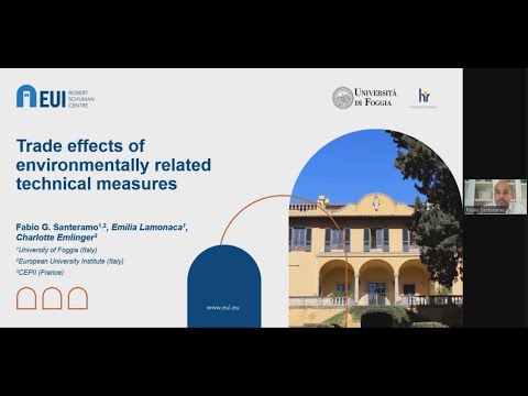 The heterogeneous trade effects of environmental measures