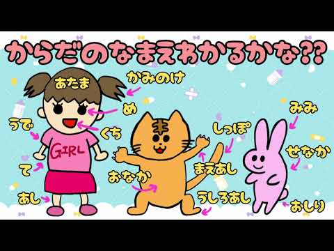 【子供向け】からだのなまえわかるかな？【知育動画 身体 場所の名前 上半身 下半身 動物 幼児 幼稚園 0 1 2 3歳 お顔 なーんだ じゃんけん】