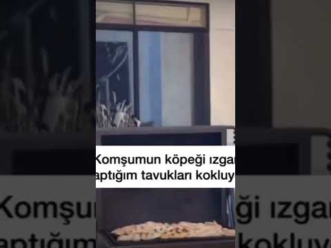 EĞLENCELİ ANLAR BURADA 🥳🎉😁