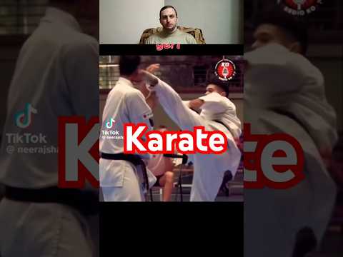 Karate martial arts extreme stunts ko kicks legs amazing skills master break bricks speed fast