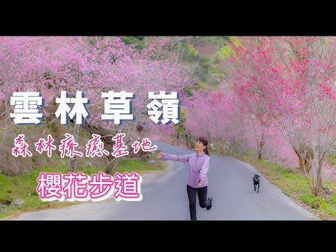 『草嶺石壁風景區』導航別導錯了設定正確會節省很多時間