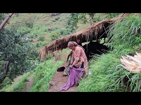 Simple The Best Nepali Mountain Village || Most Peaceful And Relaxing mountain Village Lifestyle