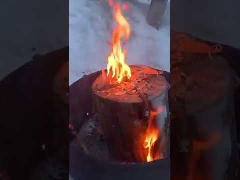 Try this easy to make log stove #shorts #camping #bushcraft #survival