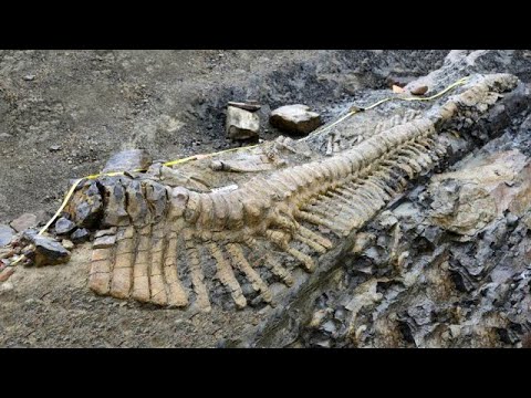 12 Most Amazing Archaeological Finds