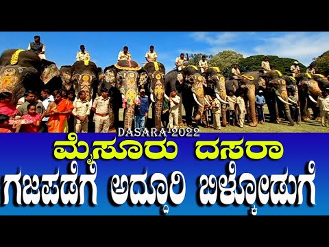 ಮೈಸೂರು ದಸರಾ ಗಜಪಡೆಗೆ ಅದ್ದೂರಿ ಬಿಳ್ಕೋಡುಗೆ | Mysore Dasara 2022 | Dasara jumbo Savari | Dasara Gajapade