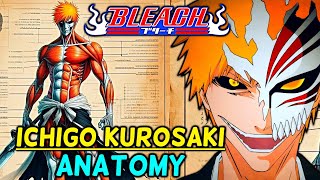 Ichigo Kurosaki Anatomy -  He Is A Part Human, Shinigami, Quincy, Hollow And A Fullbringer