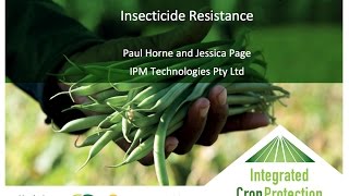 Managing pesticide resistance in vegetable crops with Dr Paul Horne (webinar recording)