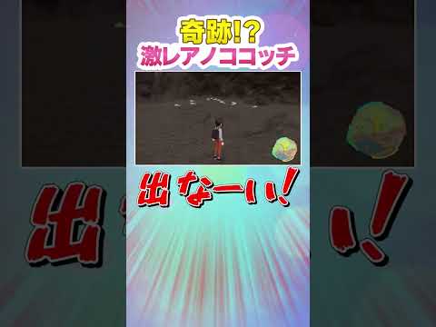 【ポケモンSV】何匹目で色違いみつふしノココッチが出るのか！？【ゆっくり実況】#shorts