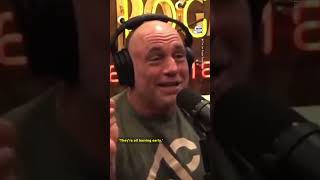 Joe Rogan Sounds Off on Kamala Harris: 'She's Nailing It'