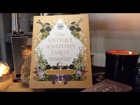 The Antique Anatomy Tarot - walk through