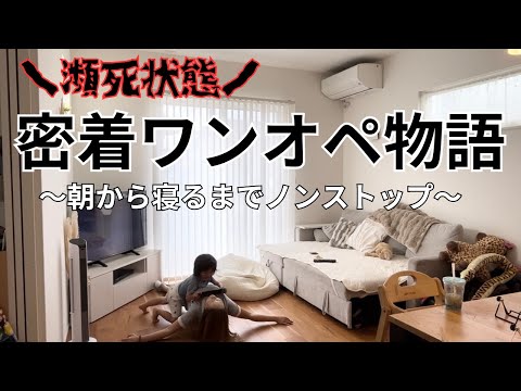 途中ぶっ倒れながらもやり切った1日🧟‍♀️リアルな主婦の1日👩🏼