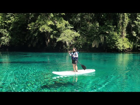 DAY 3 MARATUA ISLAND EAST KALIMANTAN TRIP INDONESIA ft. Labuan Cermin, Pulau Manimbora, Talisayan