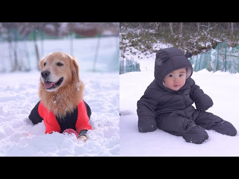 生まれて始めての雪遊びを他所に大はしゃぎの愛犬達