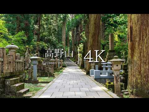 [Sacred place in the sky opened by Kukai] Visiting Mt. Koya - JAPAN in 4K