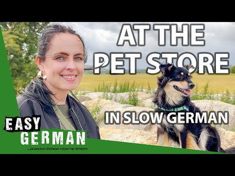 At the Pet Store in Slow German | Super Easy German 261