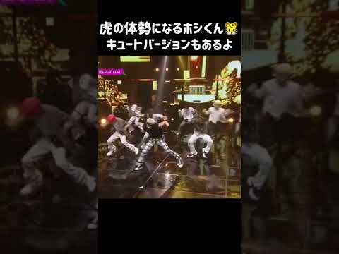 【SEVENTEEN/セブチ】虎の体勢になるホシ