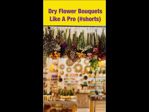 DRY a Flowers Like a Pro! Shirley Bovshow (#shorts)