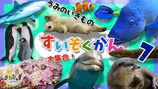 水族館へ行こう！7【子供向け 海のいきものアニメ】海の生き物 お魚さんたちが大集合！シロクマ マンボウ ペンギンなど人気の生き物からやかわいい熱帯魚が大集合◎16種類の名前を覚えよう【知育動画】