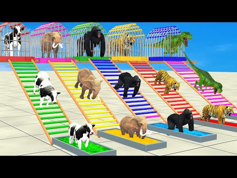 Don't Choose the Wrong Baby with LONG SLIDE Elephant, Cow, Tiger, Gorilla, Wild Animals Cage Game