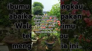 Taman bunga #wisatadanmancing #music #quotes