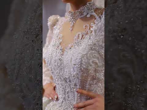 Amanda Novias long sleeve lace wedding dress 2024 collection say yes to the dress