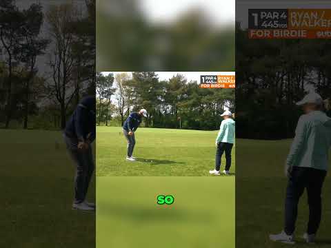 Bad shot or bad luck? #golfpractice #golf #golfswing