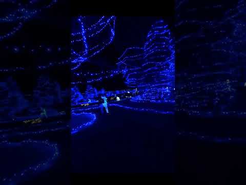 Million Blue Lights - GoPro Award  #fpv #drone #gopro #christmas #lights #blue