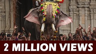 Thechikottukavu Ramachandran Elephant at Thrissur Pooram - 4K ARN MEDIA