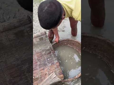 Amazing fishing trick #india #fish #fishing #fishingvideo #shorts