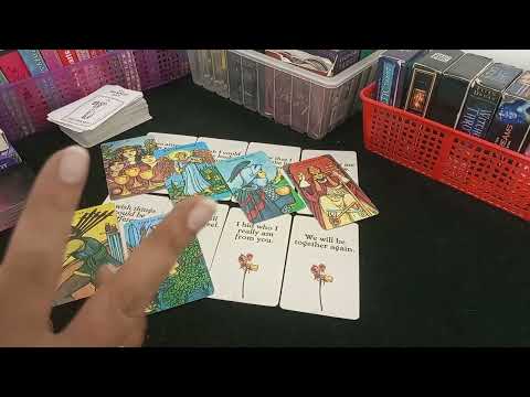 🥰WHAT DO THEY WANT TO SAY 🥰 HINDI-URDU TAROT 💗#theirthoughts #whatdotheywant #tarot