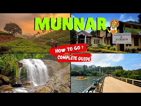 Munnar Travel Guide | How to go | Hotel | Food | Places to visit | Budget