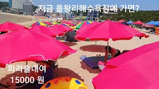 지금 을왕리해수욕장에 가면!!