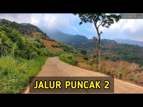 Jalur Puncak 2 Terbaru | Jalur Alternatif Turun Dari Puncak Bogor