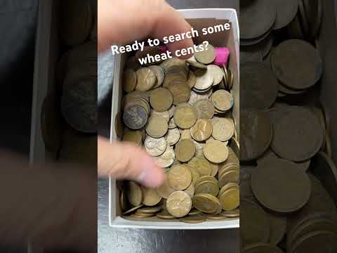 Do you like searching wheaties? #coin #coinage #coincollecting #wheaties #silverstacking