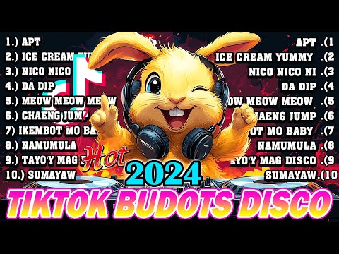 NEW TIKTOK BUDOTS DISCO PARTY 2024 - DISCO REMIX 2024 NONSTOP NEW SONGS