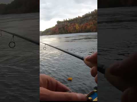 Fall fishing at its finest #fall #fishing