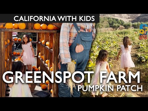 Greenspot Farms Pumpkin Patch