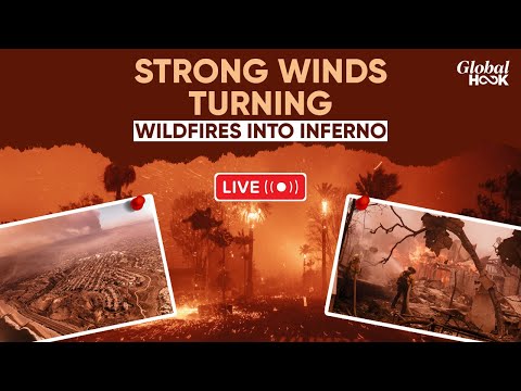 Los Angeles Wildfires Live : Deaths Rise To 24, Over 12,000 Structures Burnt In California