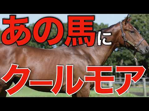 クールモアがあの種牡馬に本気だった！来日した繁殖牝馬の配合相手を徹底調査。