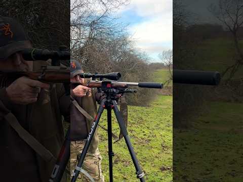 The Silent Assassin 22LR Vs Clay Rabbit | Energy Test At 100 Yards | Pure Sound