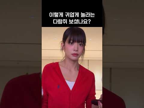 [프로미스나인]귀엽게 놀라는 챙람쥐