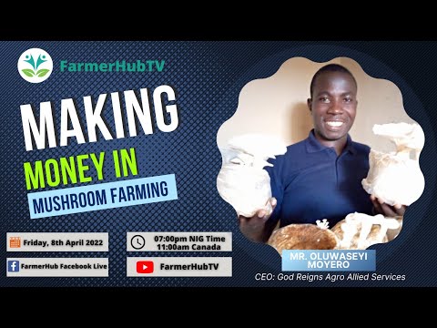 Making Money in Mushroom Farming