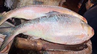 Most Expensive 2.5 kg Big Hilsa (ilish) Fish Cutting Skills Live In Fish Market BD