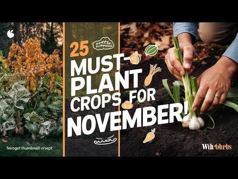 25 Awesome Crops to Plant in November for a Thriving Garden