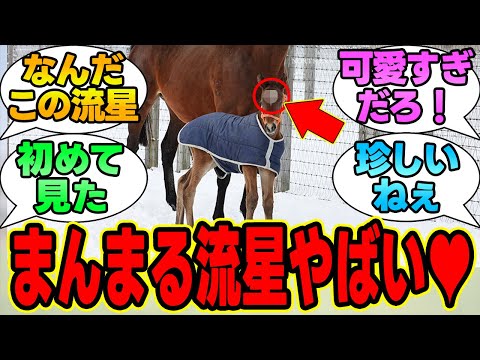 『キタサン×アーモンドアイの子がついに誕生！「〇」が可愛すぎてヤバイ！』に対する競馬民の反応集