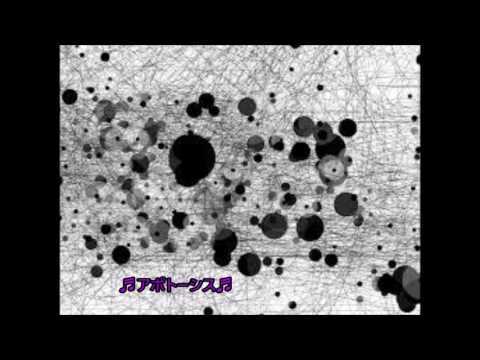 【暗いBGM】　♬アポトーシス♬  時には、メランコリック