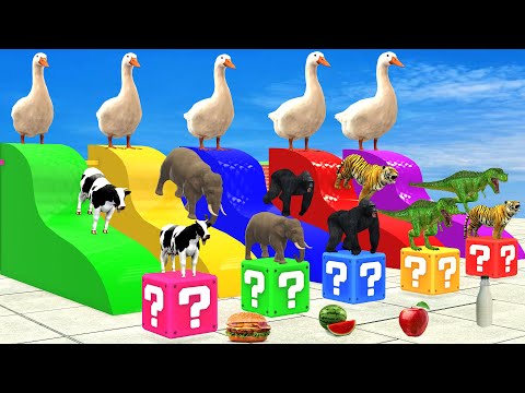 4 Giant Duck Cartoon with LONG SLIDE Cow Tiger Elephant Gorilla Dino Wild Animals Crossing Fountain